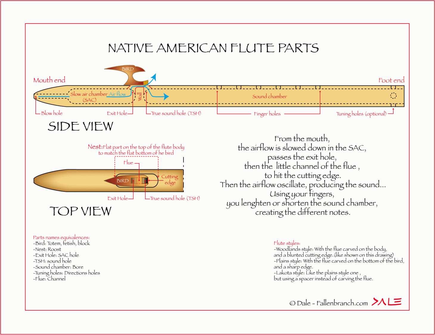 parts of a flute diagram